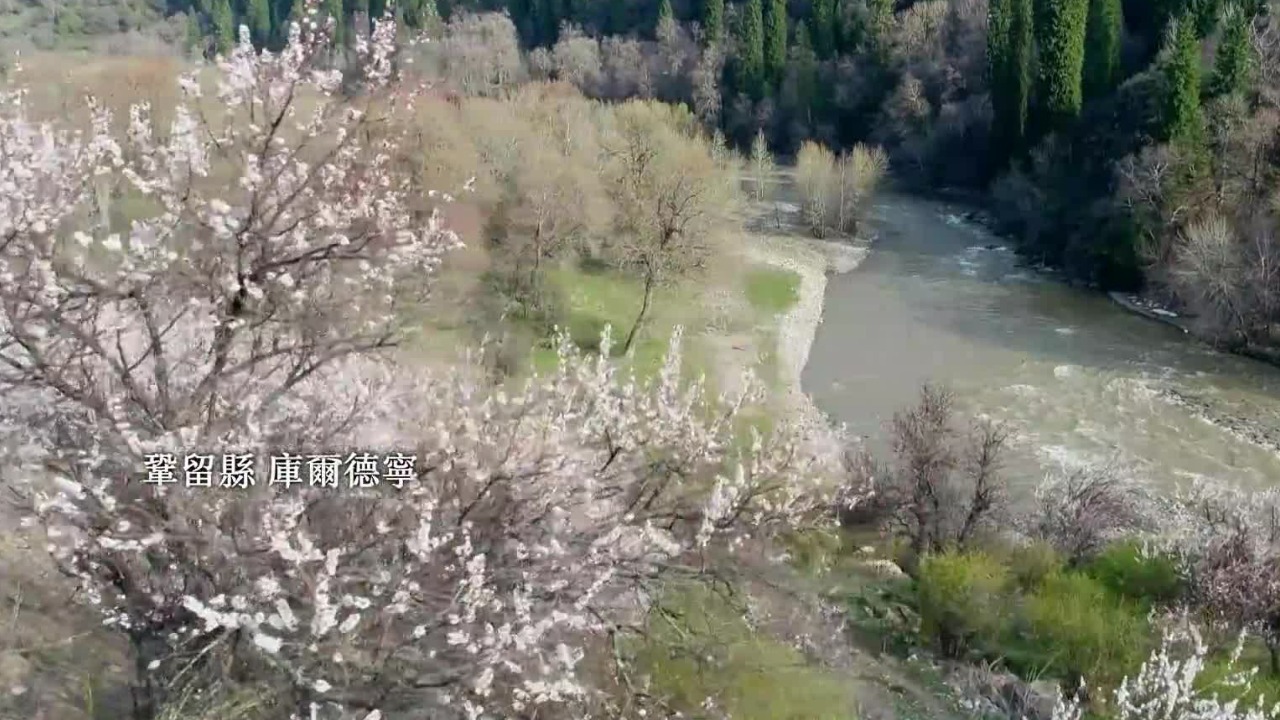 新疆生态密码：库尔德宁被誉为欧亚大陆腹地野生生物物种“天然基因库”