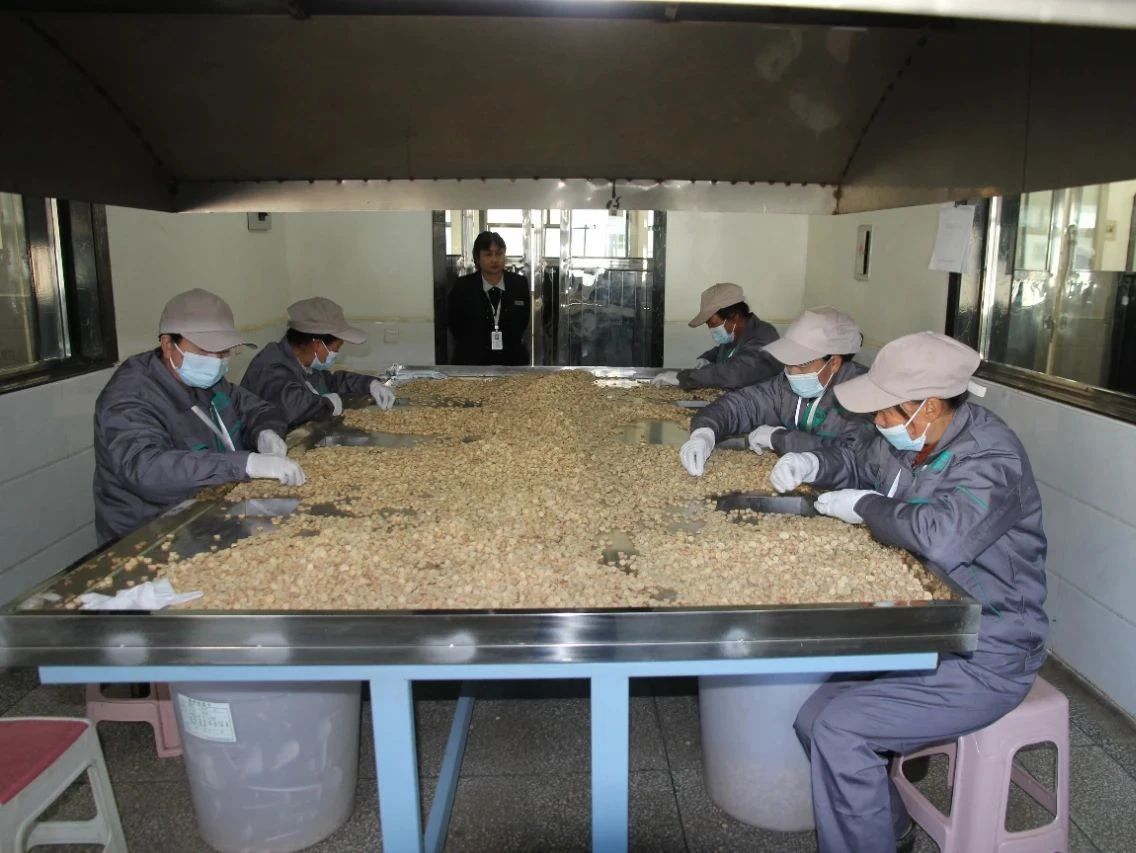 华亭“药”闻：复工复产加速跑　产业奋战开门红