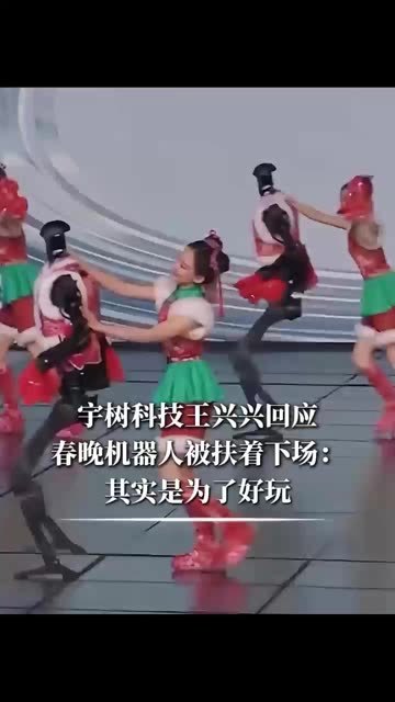 宇树科技王兴兴回应春晚机器人被扶着下场：其实是为了好玩 #财经 #经济 #宇树科技