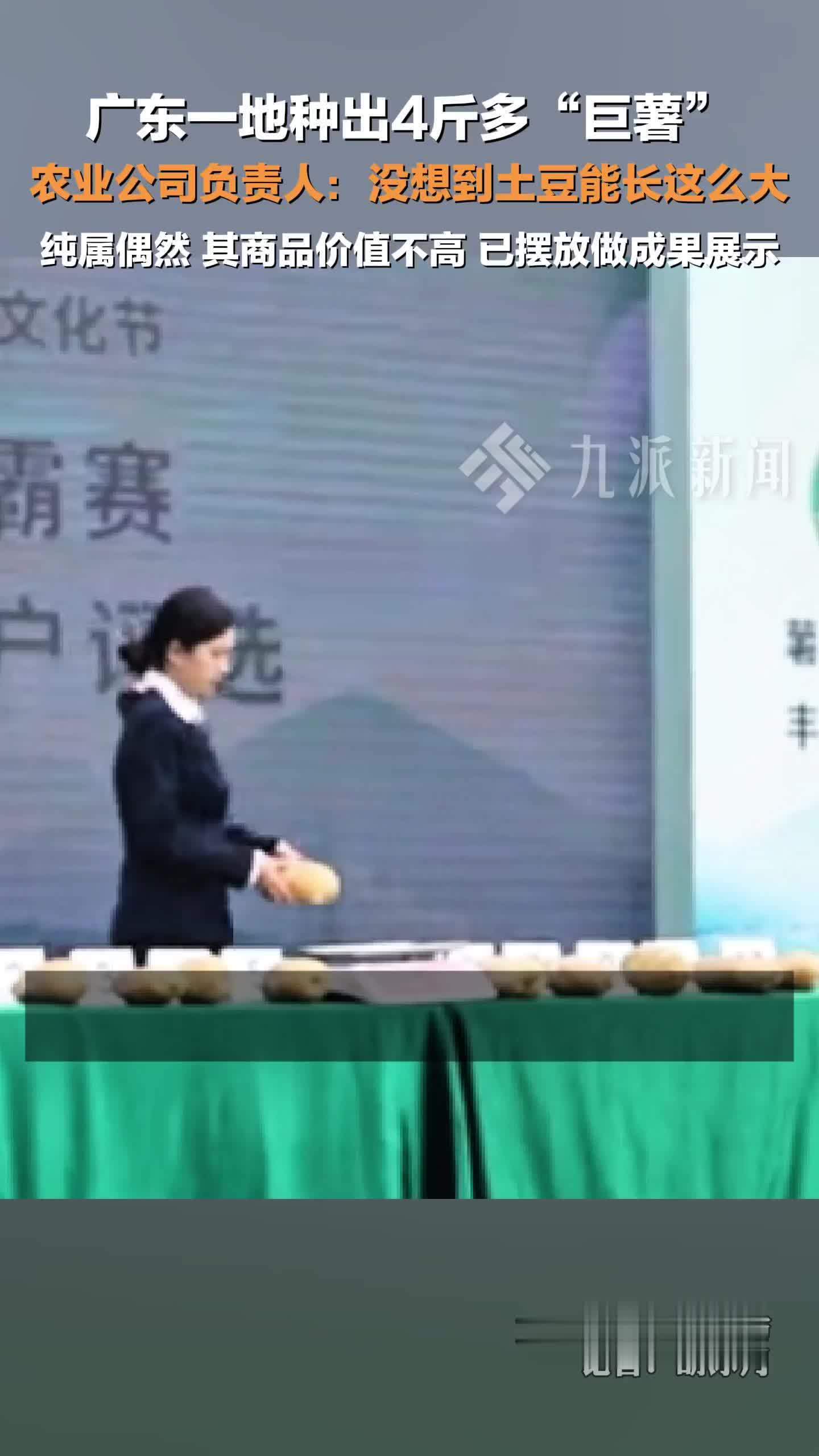 农业公司回应种出4斤多马铃薯： 没想到土豆能长这么大，但其商品价值不高
