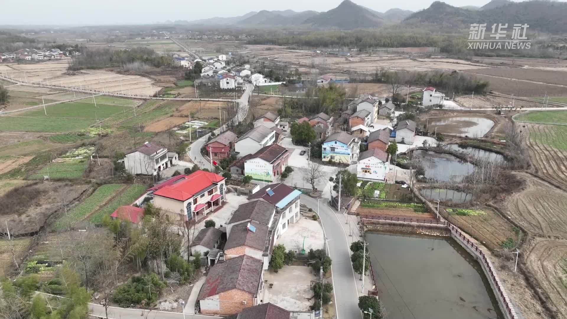 代表委员履职故事｜全国人大代表田淑娴：科技兴农 筑梦乡村