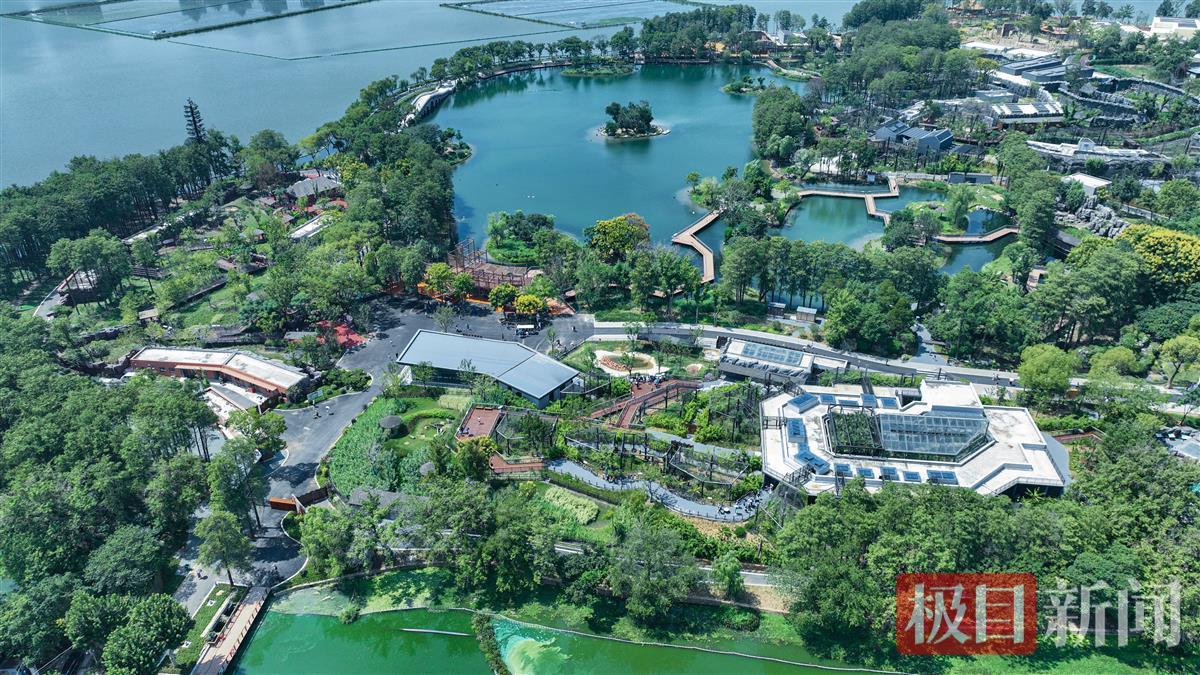 10、 极目新闻记者李辉摄.jpg