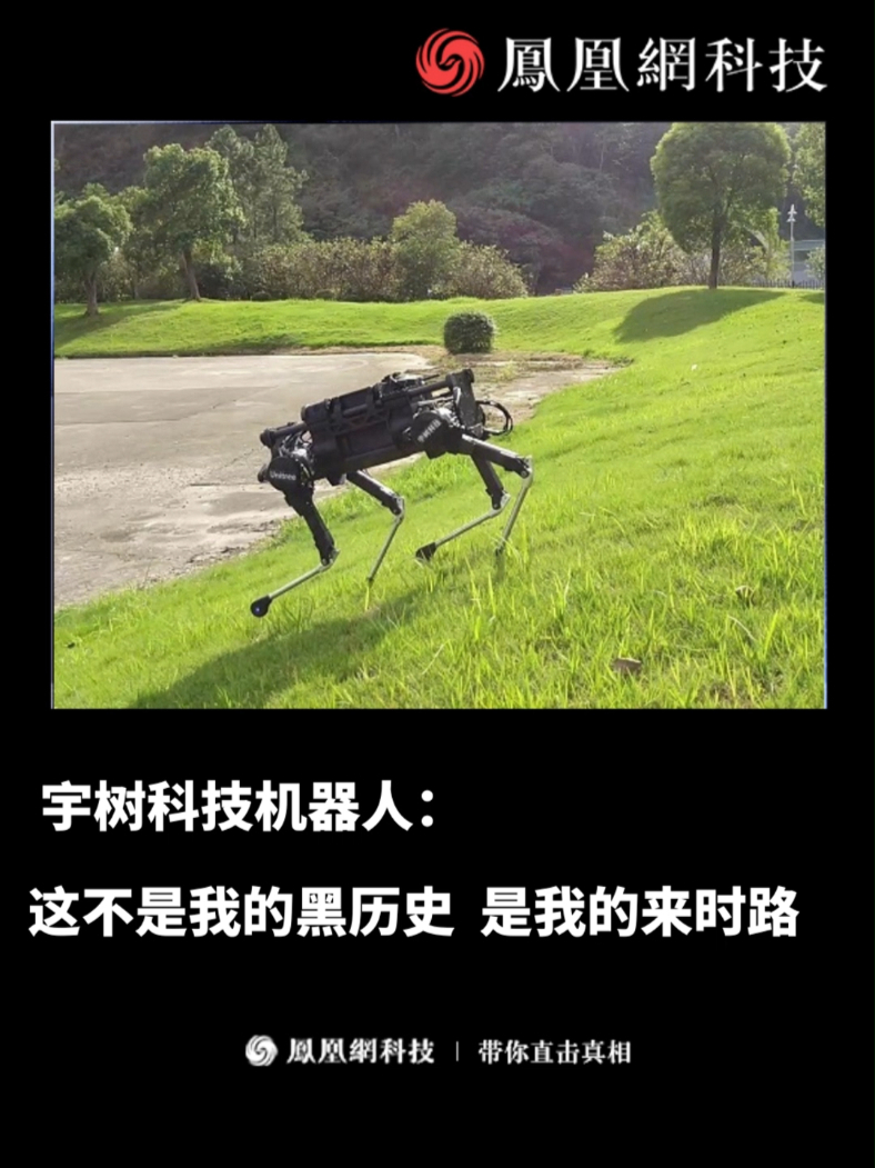养子十五岁
