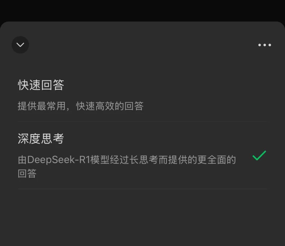 共有两个模型选项,其中第二个才是由 DeepSeek R1 驱动的版本 | 图片来源:极客公园