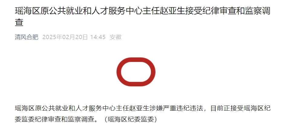 安徽一地纪委监委通报：赵亚生接受审查调查