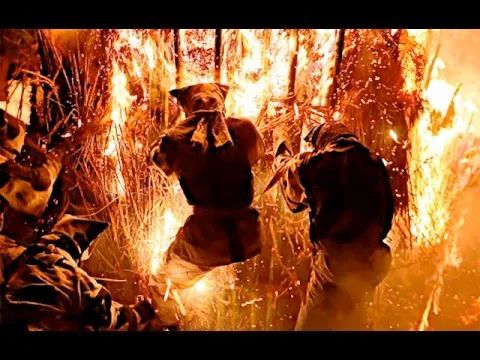 炎に飛び込む「鳥羽の火祭り」＝愛知県西尾市
