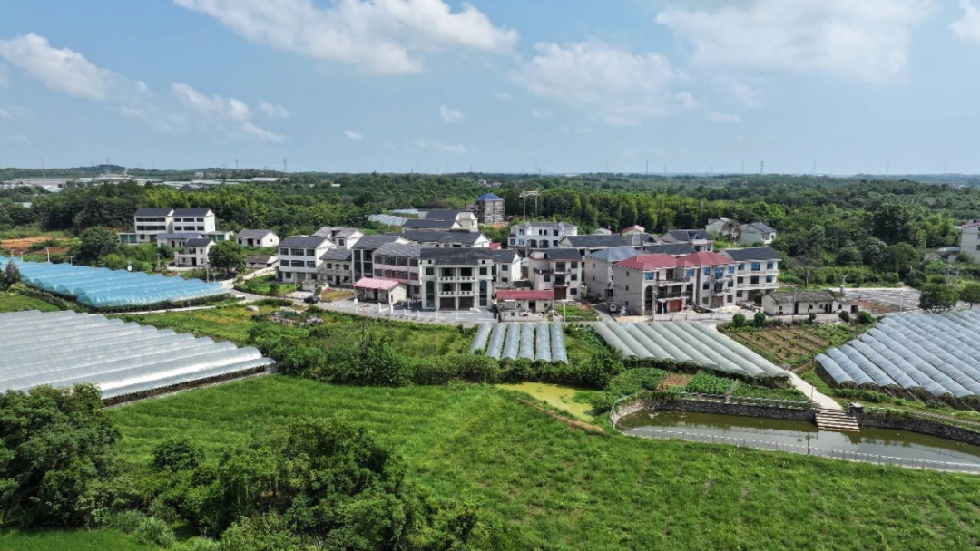 武宁县东林乡有鳗鱼养殖基地排放污水 县政府：总氮含量超标