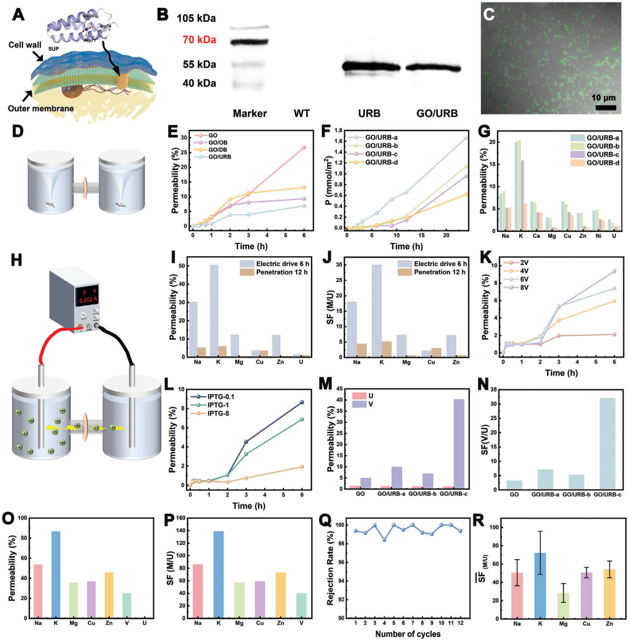 精准分离卤水铀元素有了新“膜”法　兰大团队上分