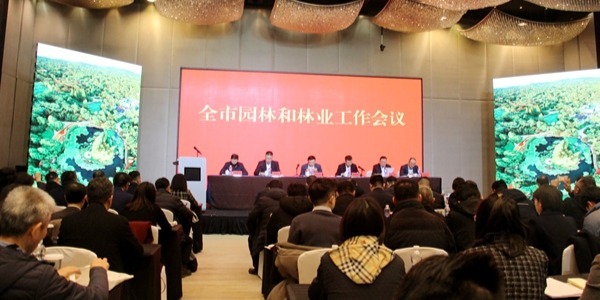 凤凰视频|2025年青岛市园林和林业工作会议召开