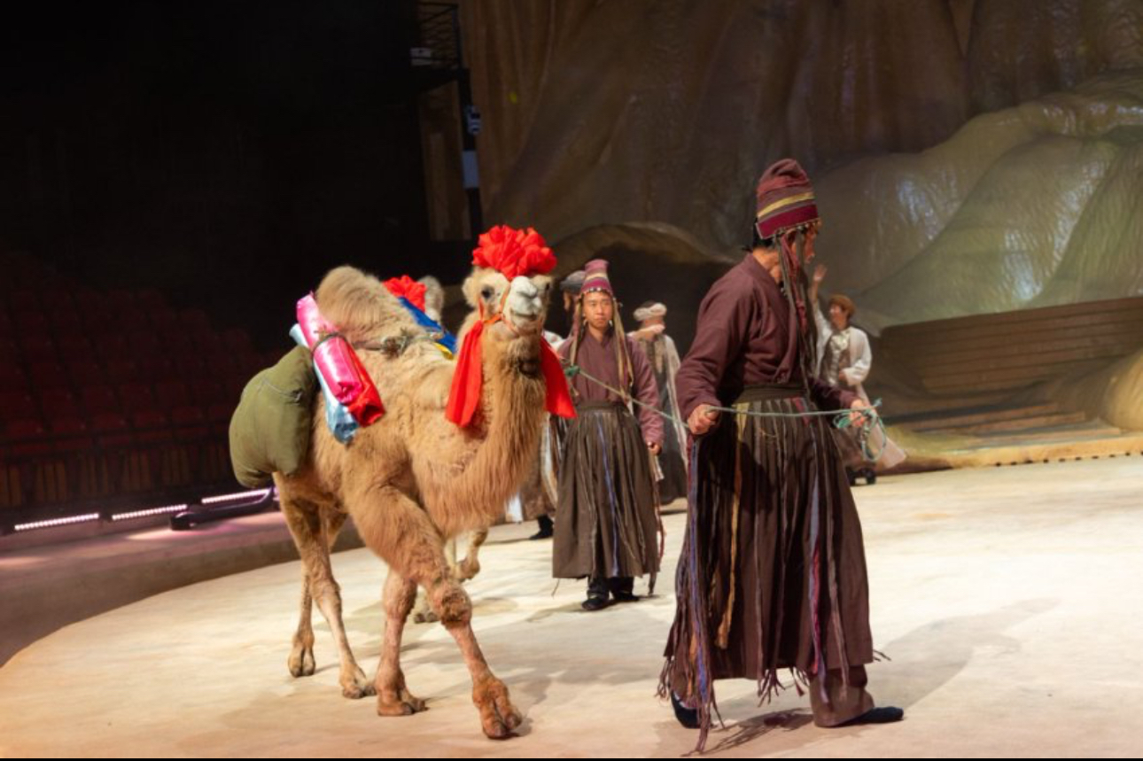 AI全景制作舞台剧《西境千年》亮相兰州野(38724376)-20250218163311.jpg