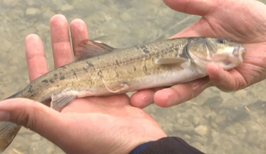 瓜州县融媒体中心