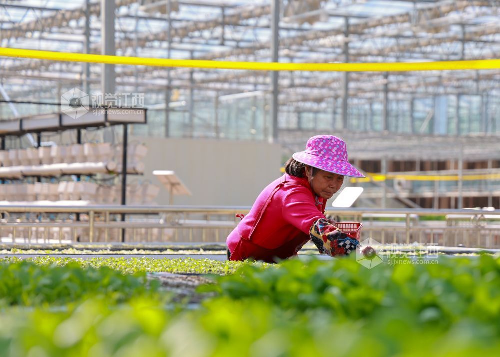 不负农时不负春（图）