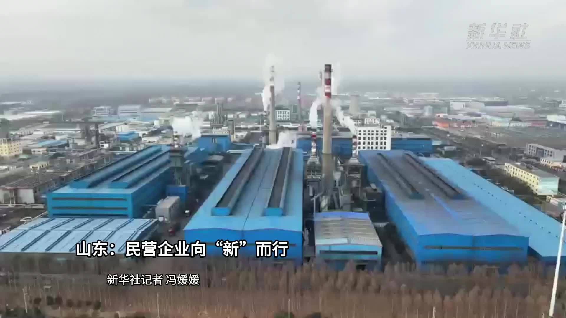 山东：民营企业向“新”而行