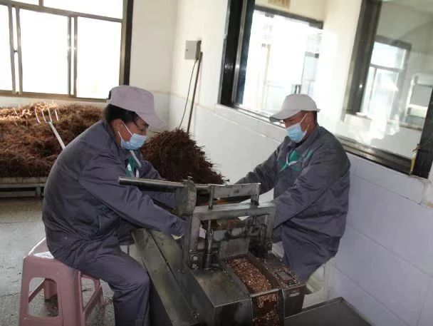 华亭“药”闻：复工复产加速跑　产业奋战开门红