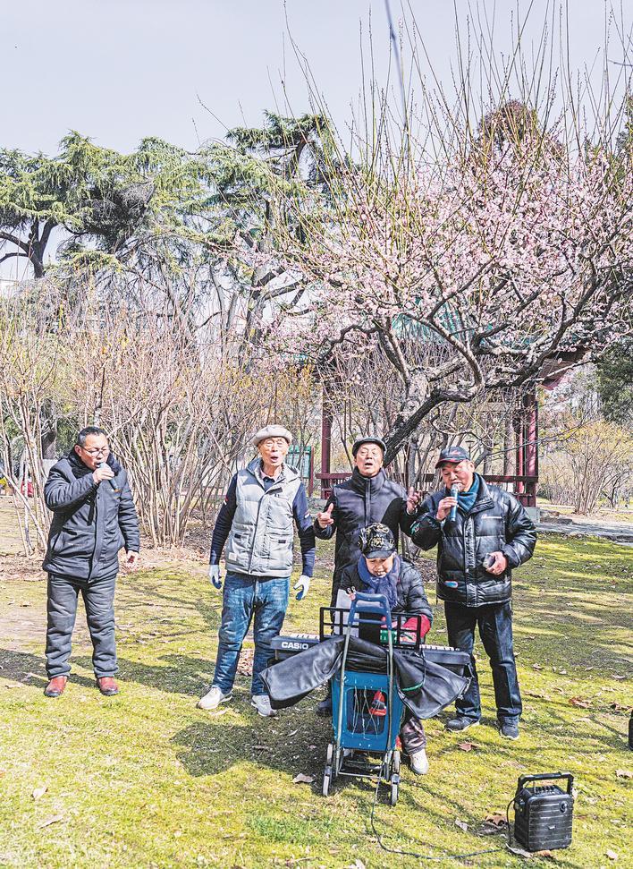 解放公园，梅香伴琴韵