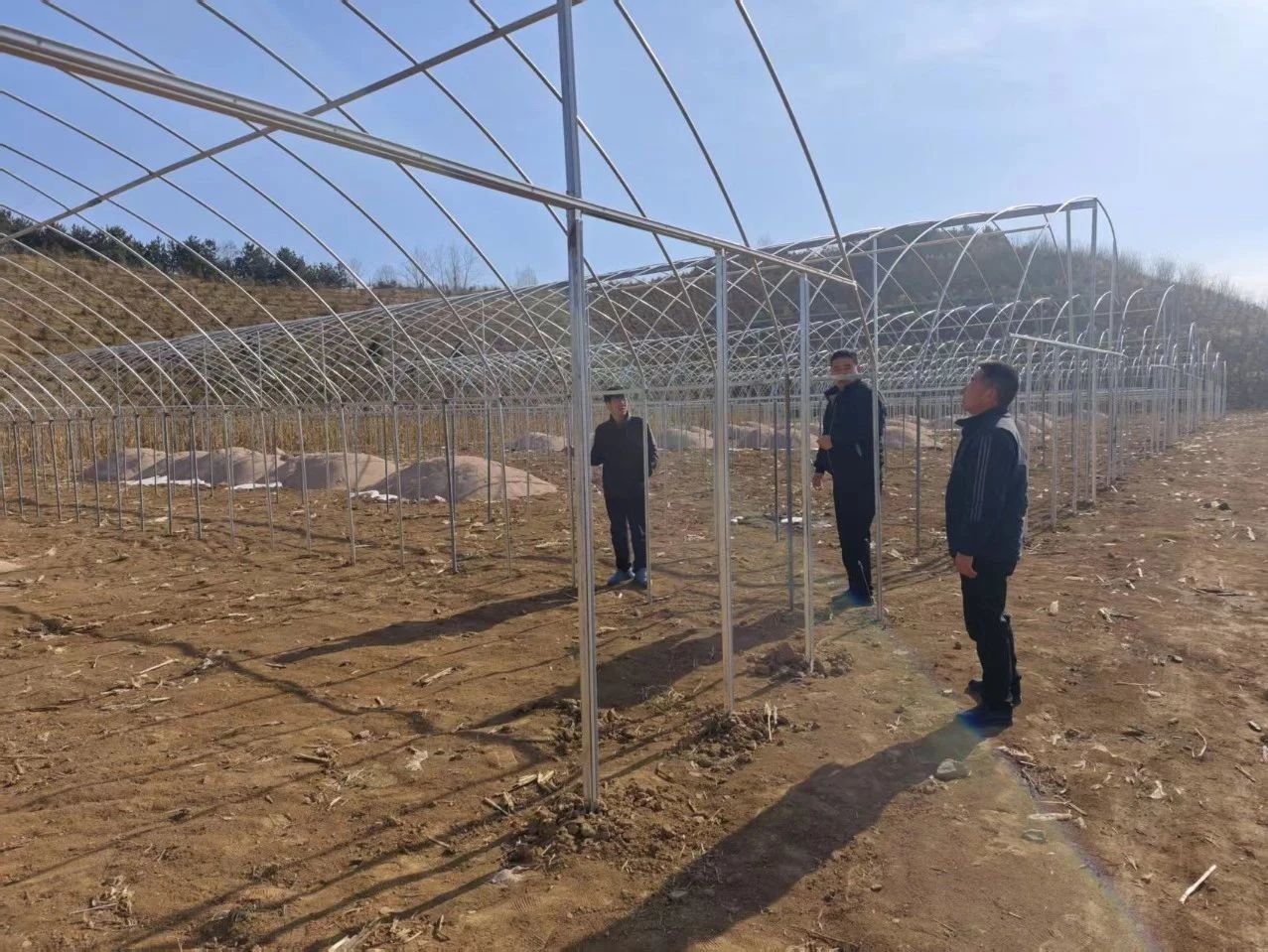 华亭“药”闻：复工复产加速跑　产业奋战开门红
