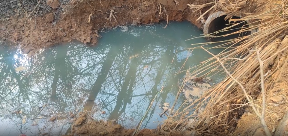 武宁县东林乡有鳗鱼养殖基地排放污水 县政府：总氮含量超标