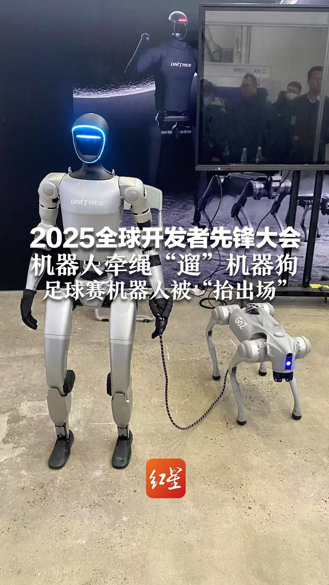 2025全球开发者先锋大会，机器人牵绳“遛”机器狗 足球赛机器人被“抬出场”