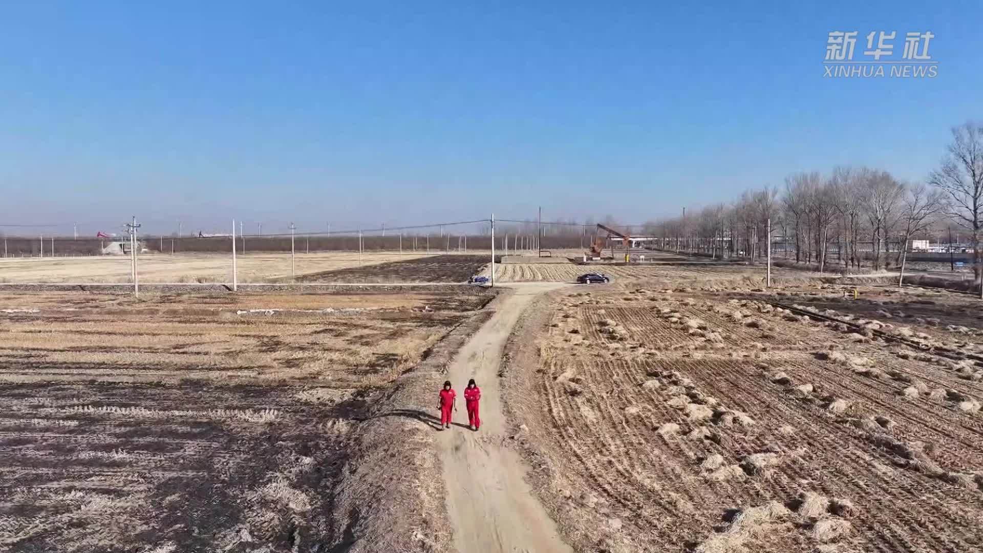 数智化建设为老油田高质量发展注入新活力