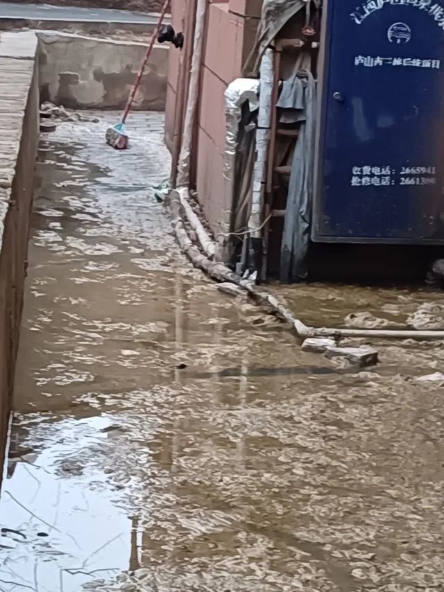 武宁县东林乡有鳗鱼养殖基地排放污水 县政府：总氮含量超标