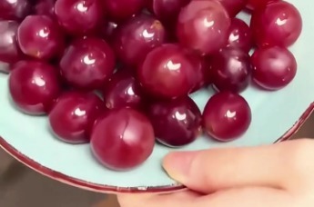 荣事达钛食材净化机 无线便携更自由