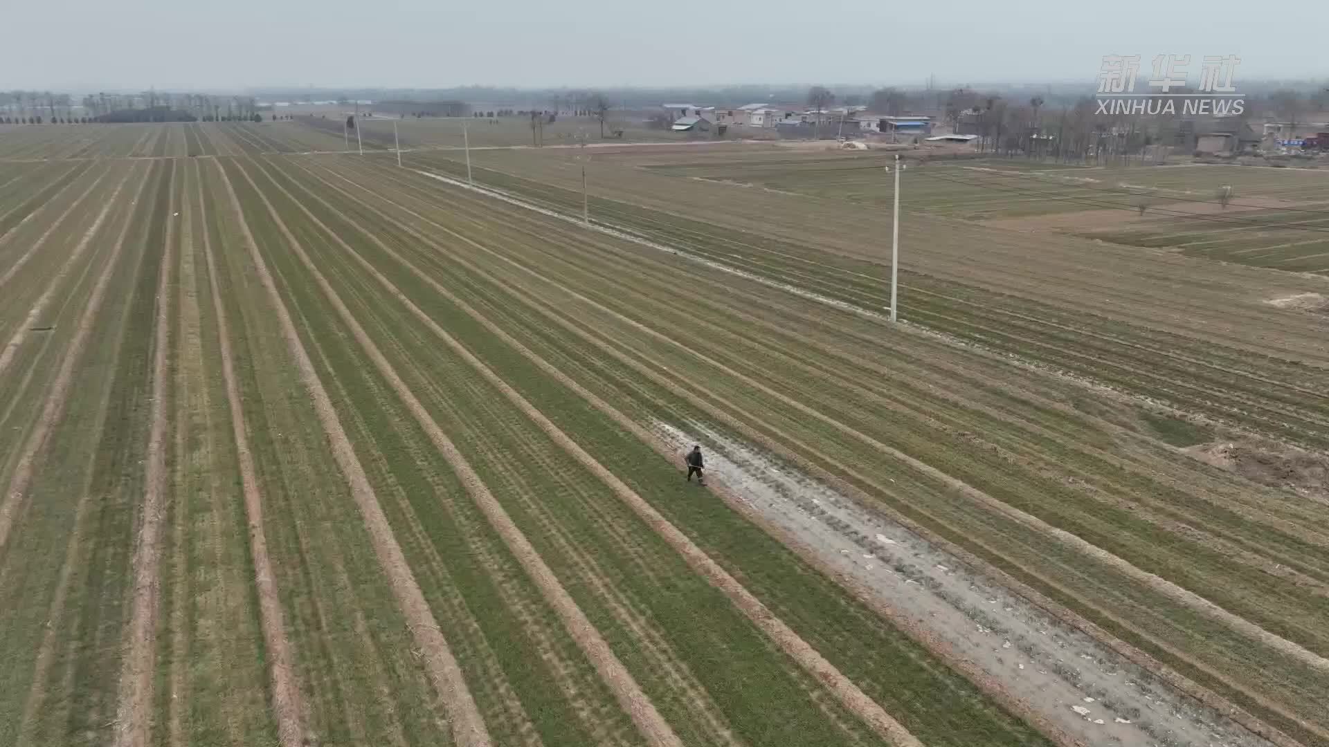 黄河大禹渡灌区：开机上水保春浇