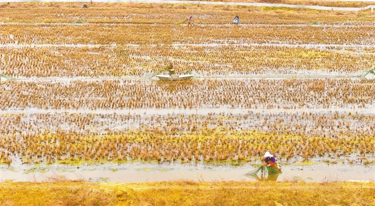 收获满满（图）