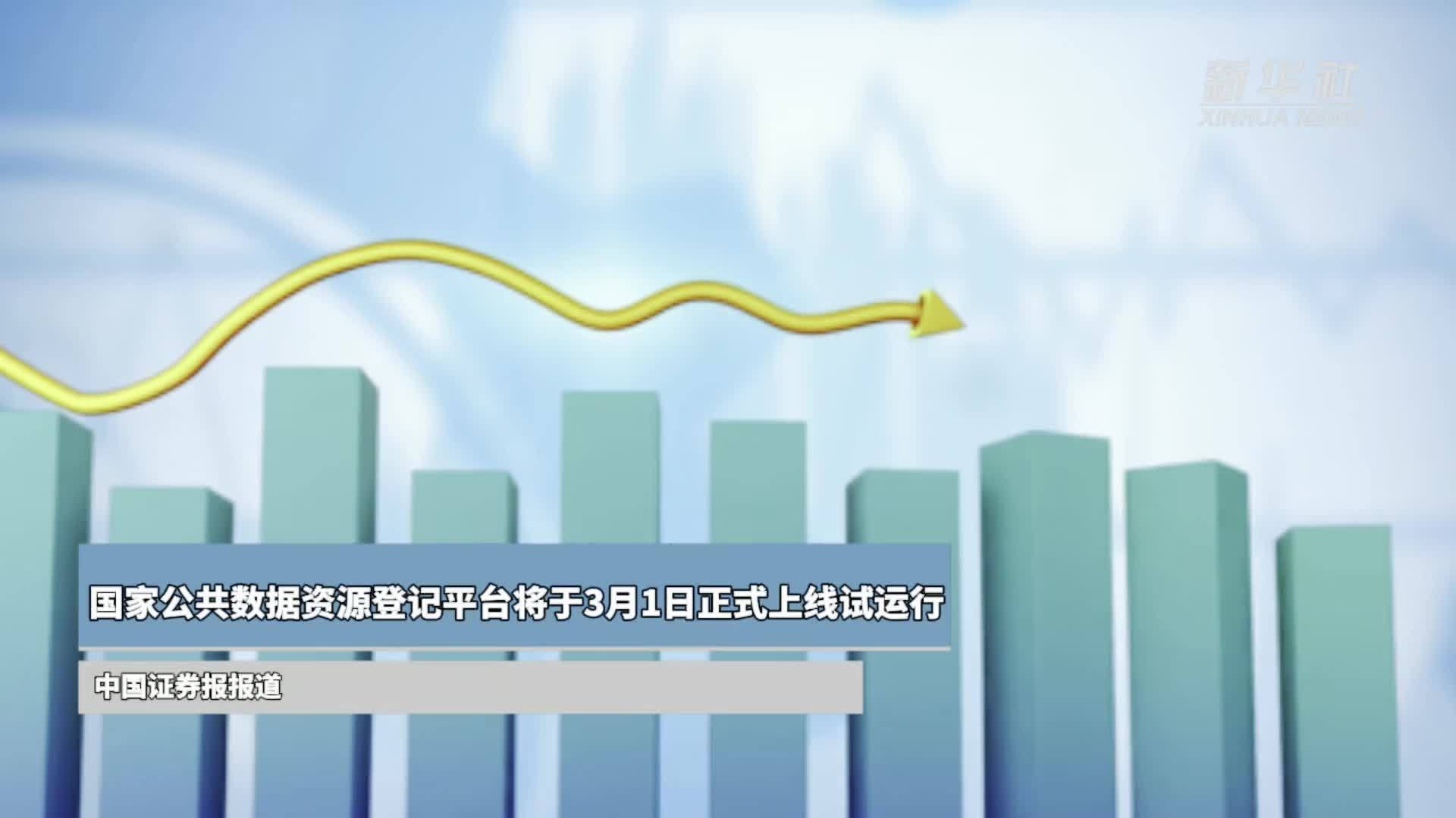 国家公共数据资源登记平台将于3月1日正式上线试运行