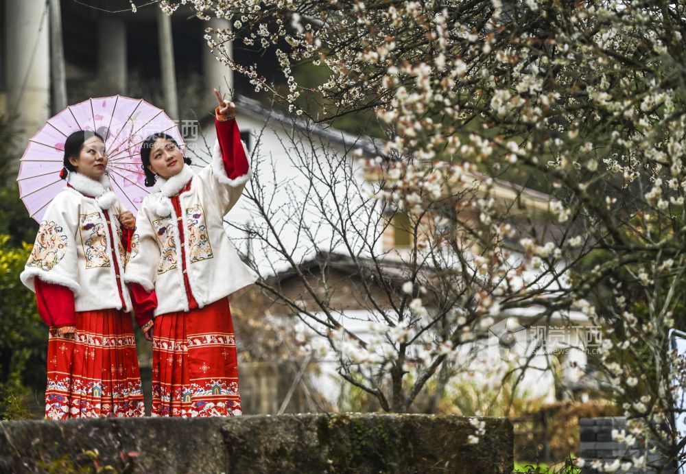 繁花開 春意濃（圖）