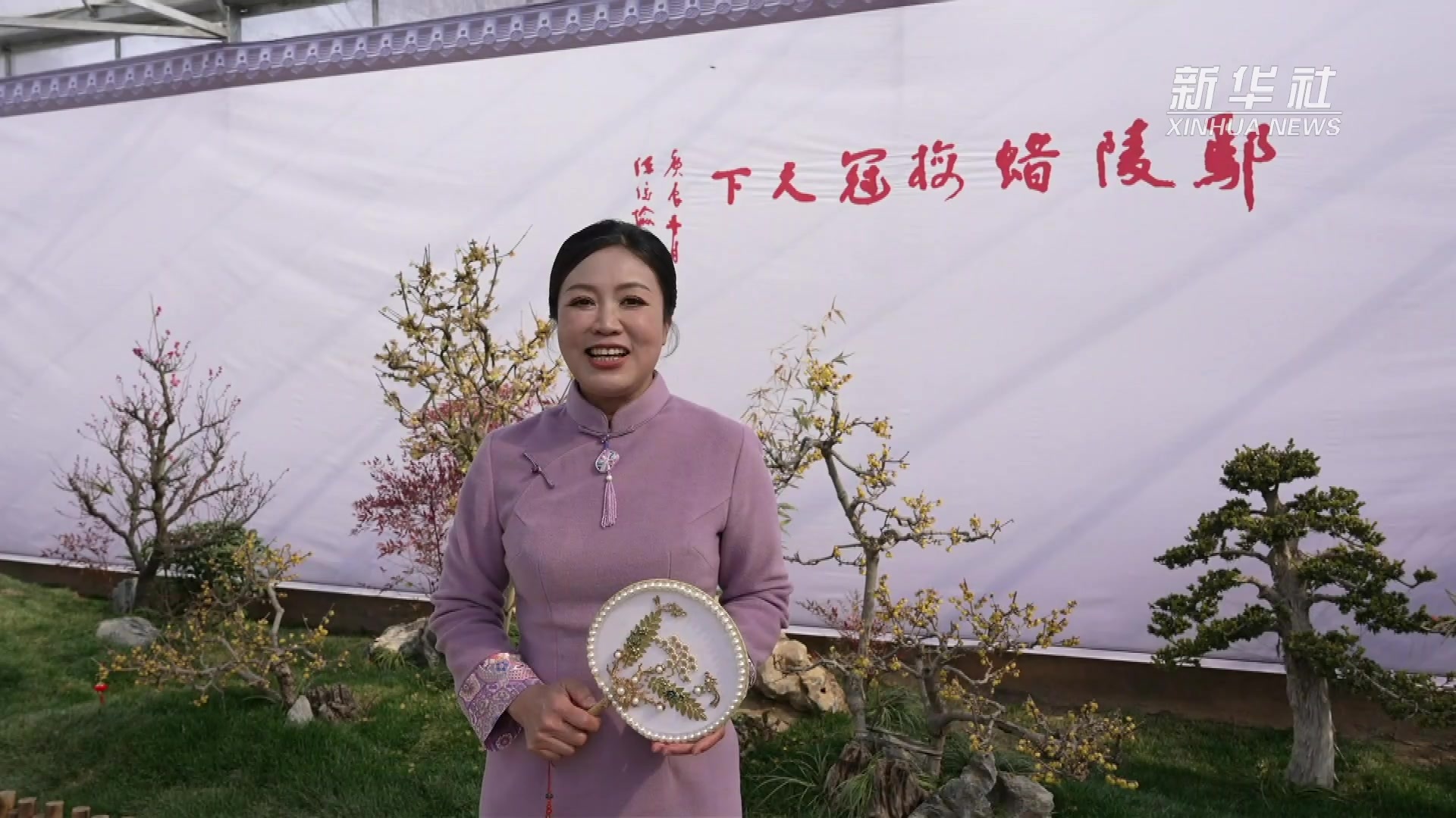 探秘鄢陵蜡梅：冬日的香气与美丽