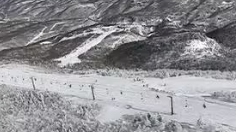 一中国游客在日本滑雪场遇难！遗体在森林中被发现，大部分埋在雪中！警方已介入调查