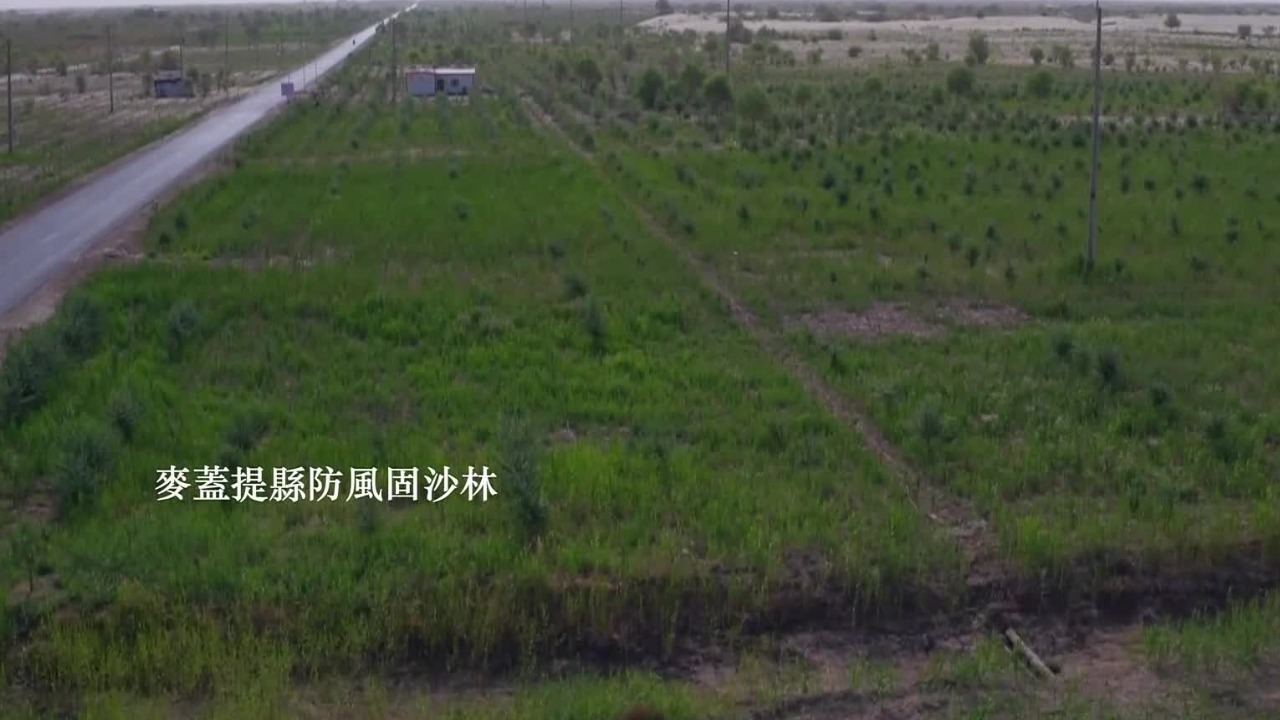 修建百万亩防风抗沙林，30万人与塔克拉玛干沙漠进行争夺生存空间的战争