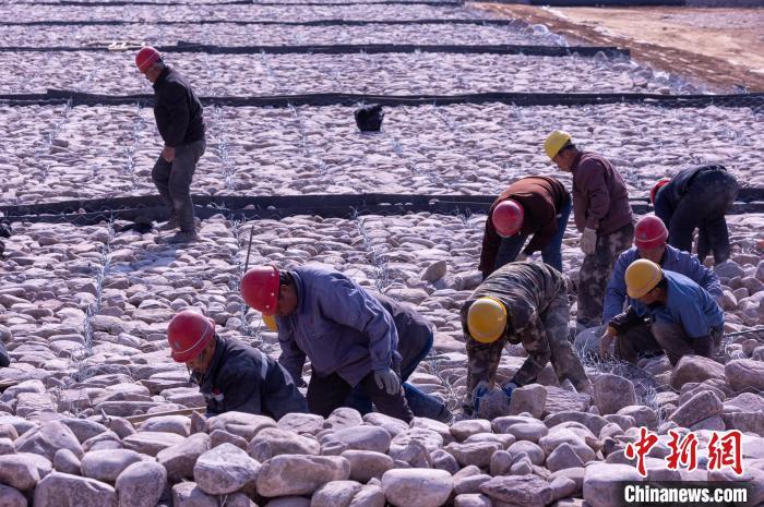 图为武安市活水乡北洺河段，施工人员正在铺设宾格石笼。 李树锋 摄