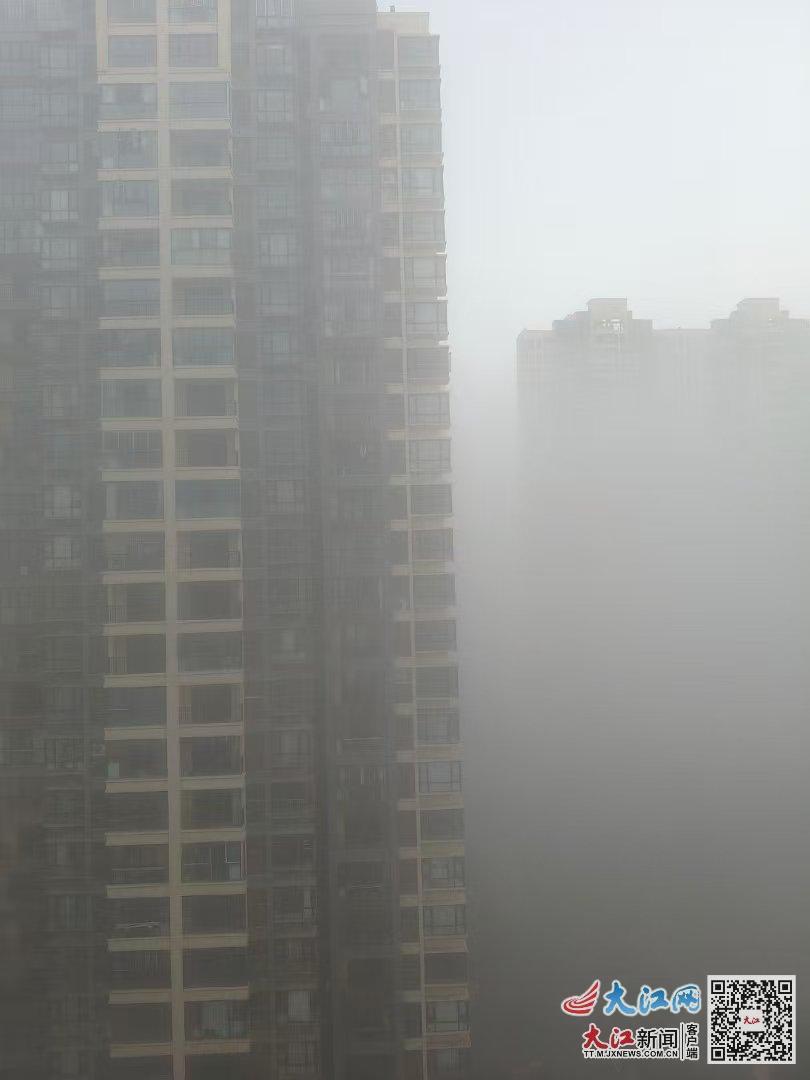 南昌出现蛇年首场大雾天气，能见度较差（陈丽红 摄）