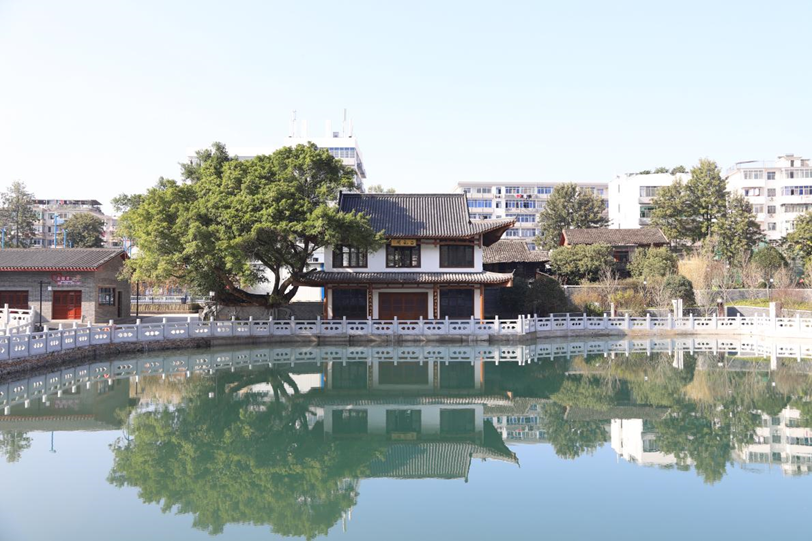 更新后效果