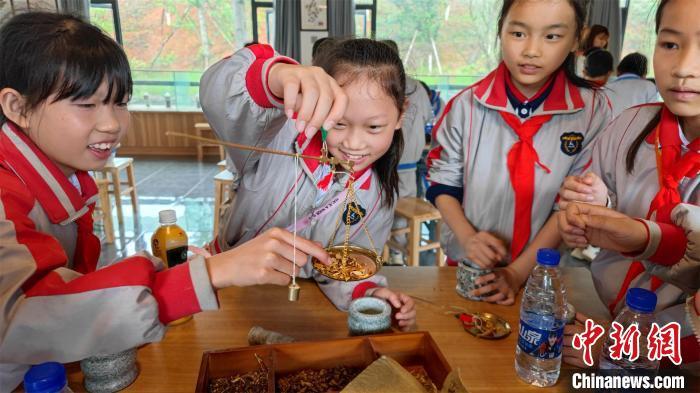 2023年5月,前来参加研学的中小学生正在体验用传统小秤称量中药材。受访者供图
