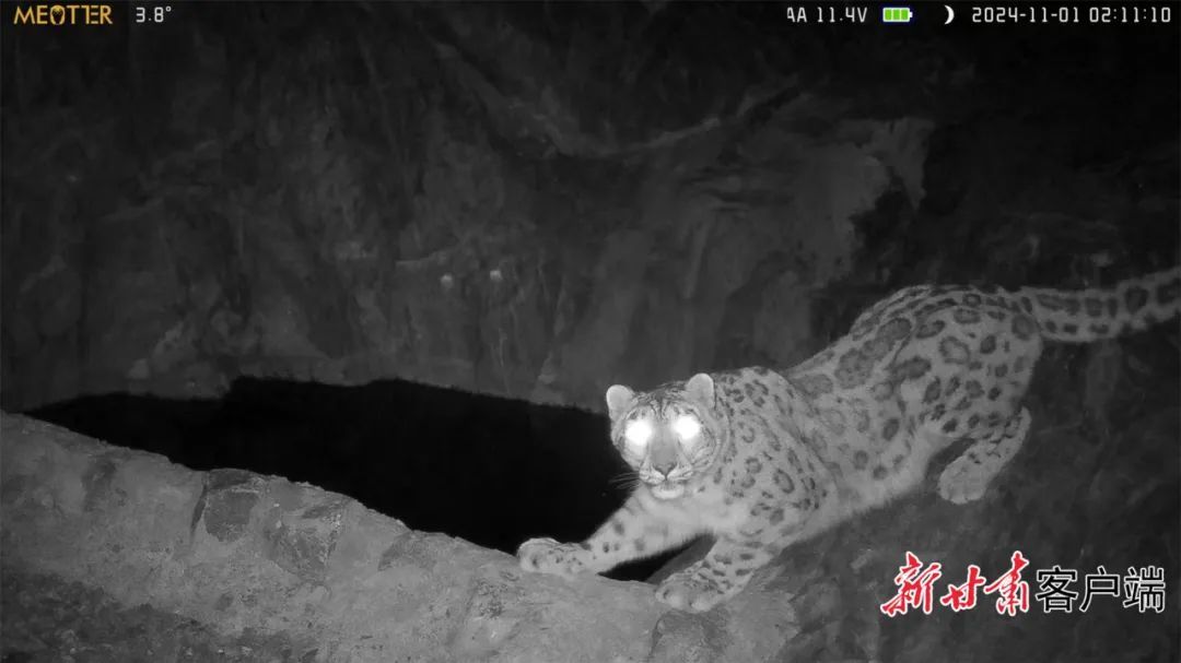 新甘肃·甘肃日报记者 杜雪琴 董文龙 摄