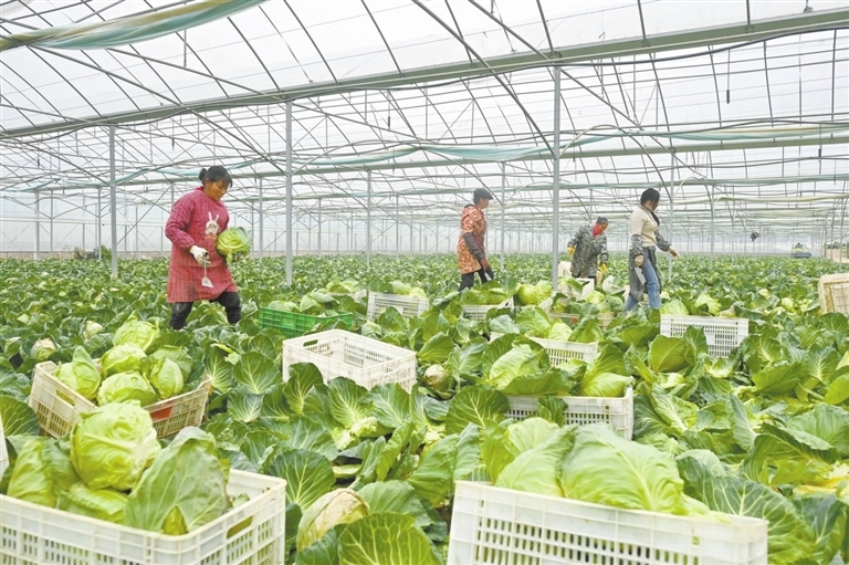 收获满满（图）