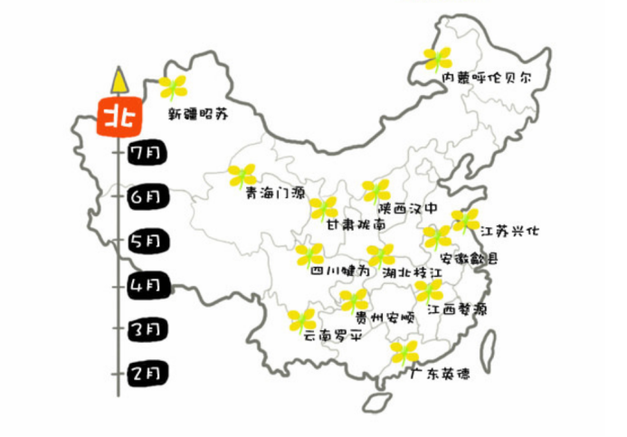 全国知名油菜花种植区分布图