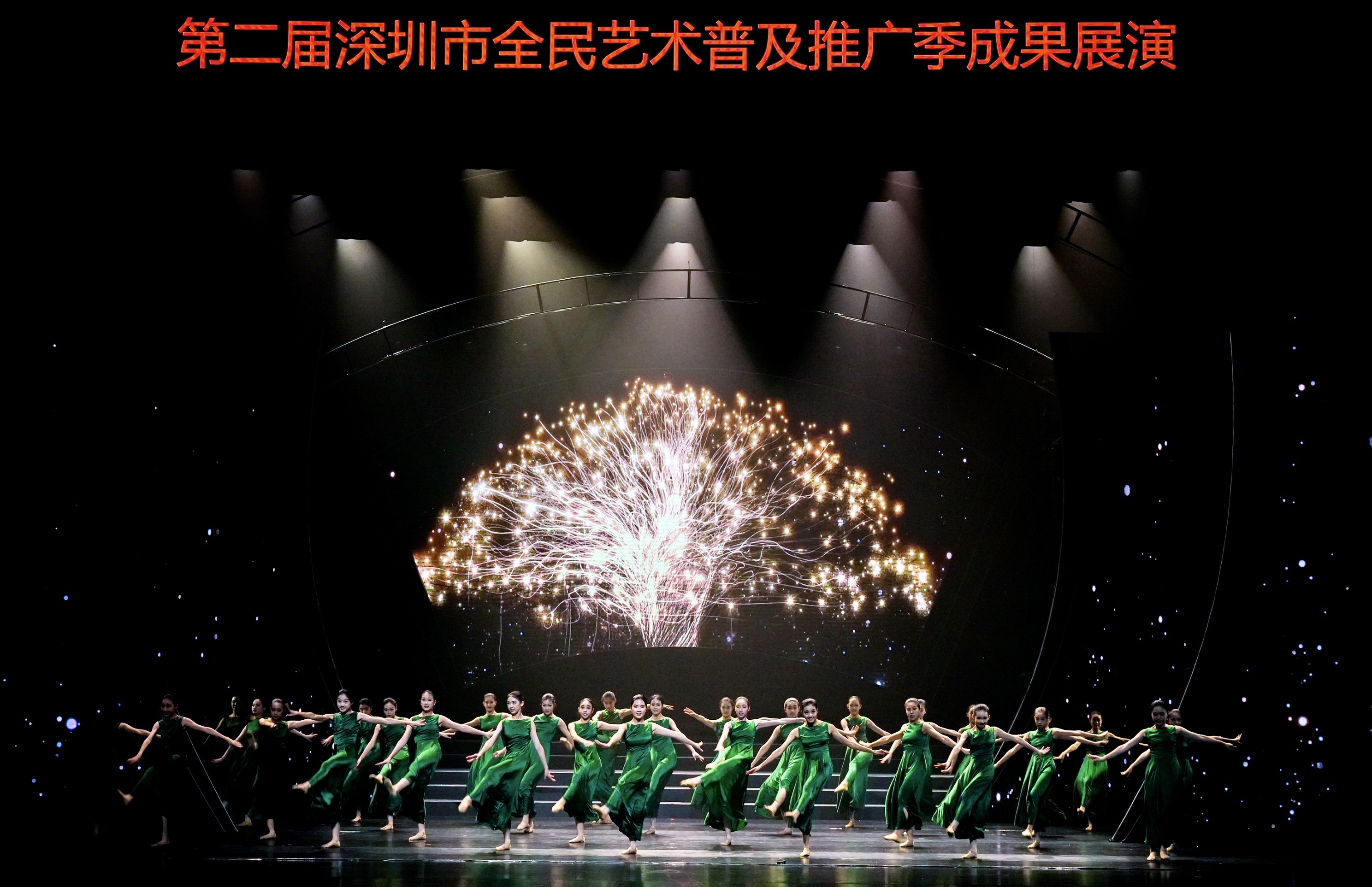 自巷深处,“艺”往无前:第二届深圳市全民艺术普及推广季成果展演圆满举办
