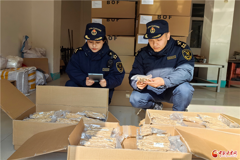 中医“针”功夫海外圈粉　外国学子VR云游陇药基地