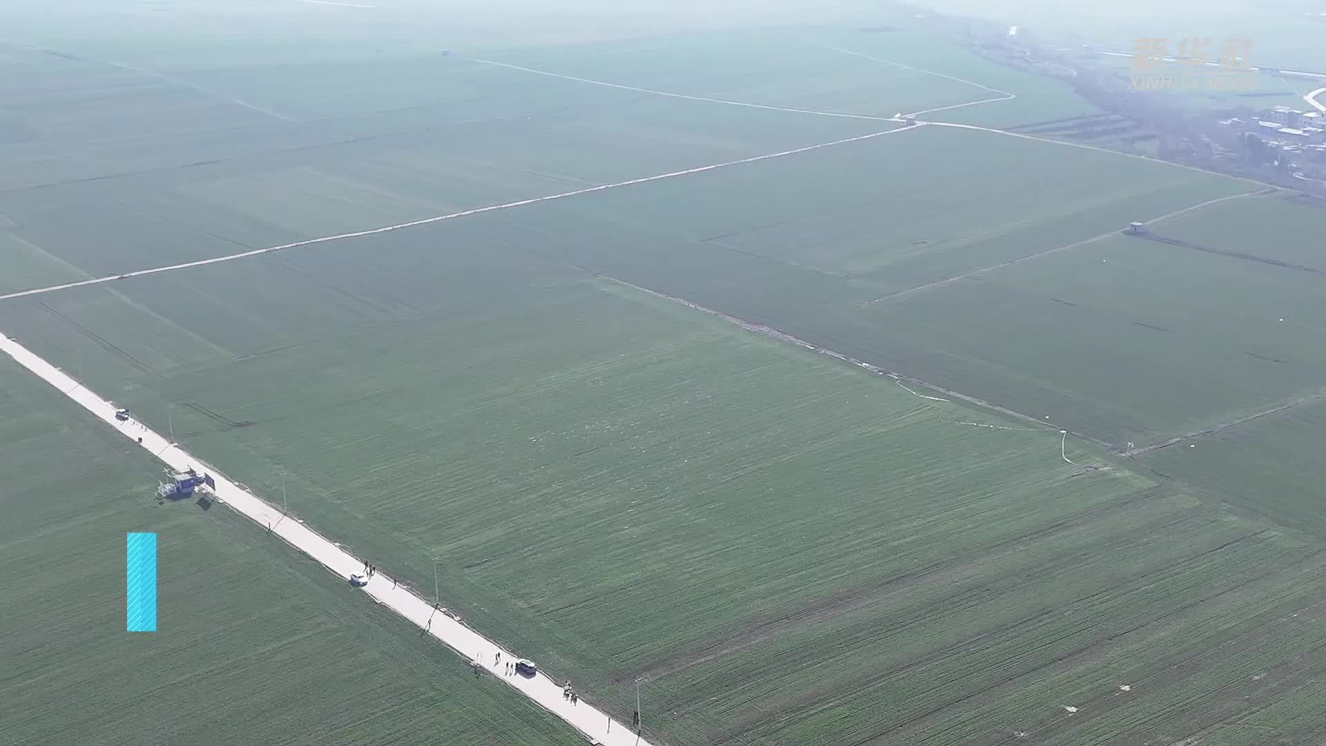 陕西西安：春灌一刻 田畴苗绿