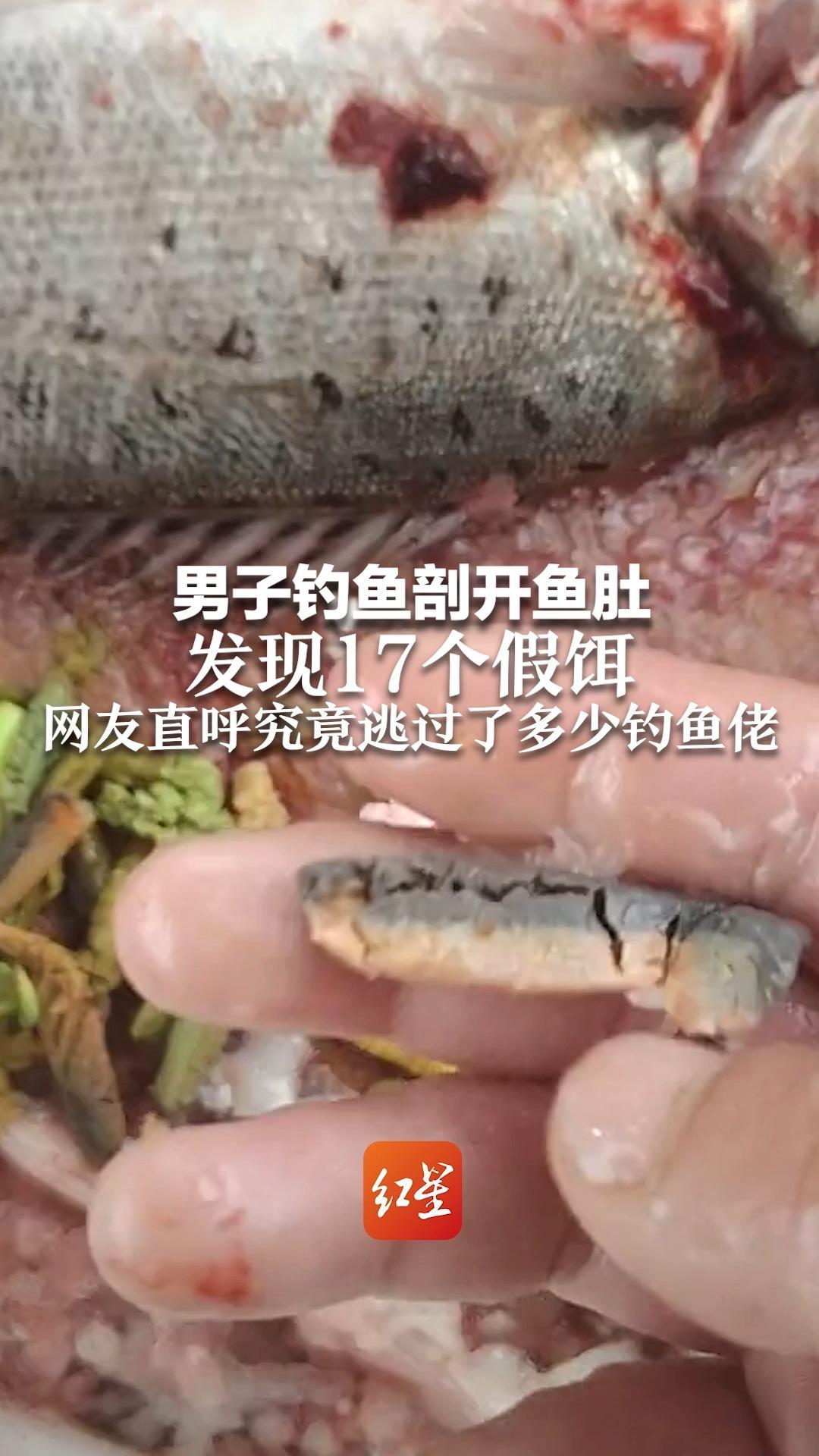 男子钓鱼剖开鱼肚发现17个假饵，网友直呼究竟逃过了多少钓鱼佬