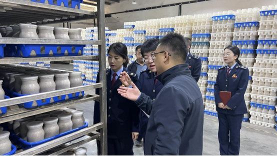 临洮县税务干部深入企业问计问需