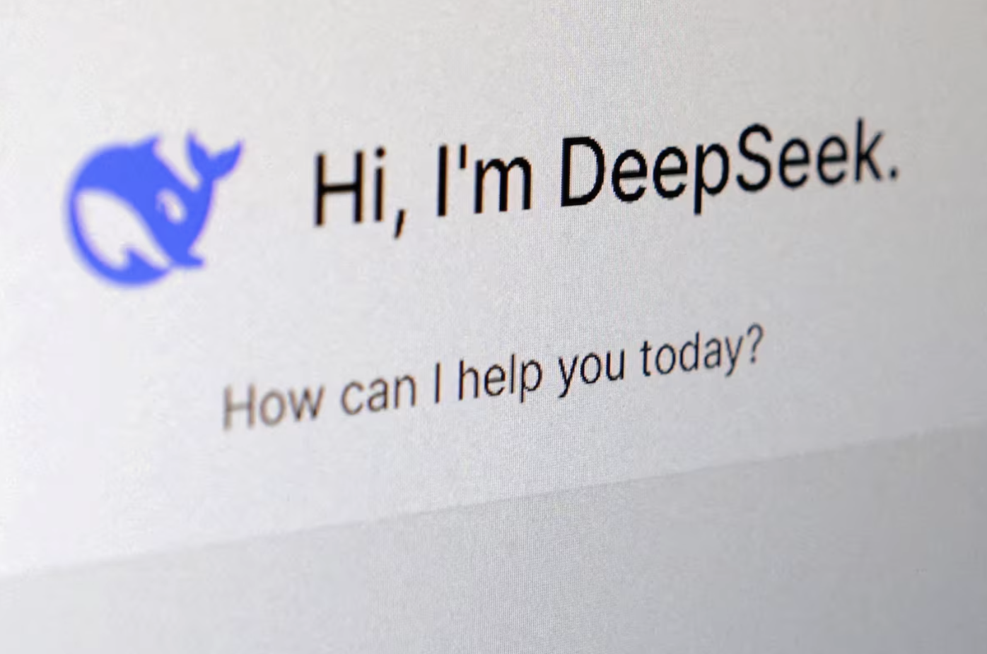 DeepSeek激励了AI投资热