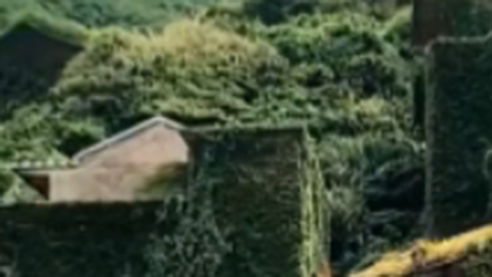 无人岛招聘“守岛人”，日薪300元有Wi-Fi，招聘发布单位：待满两月无周末，中途不可以下岛