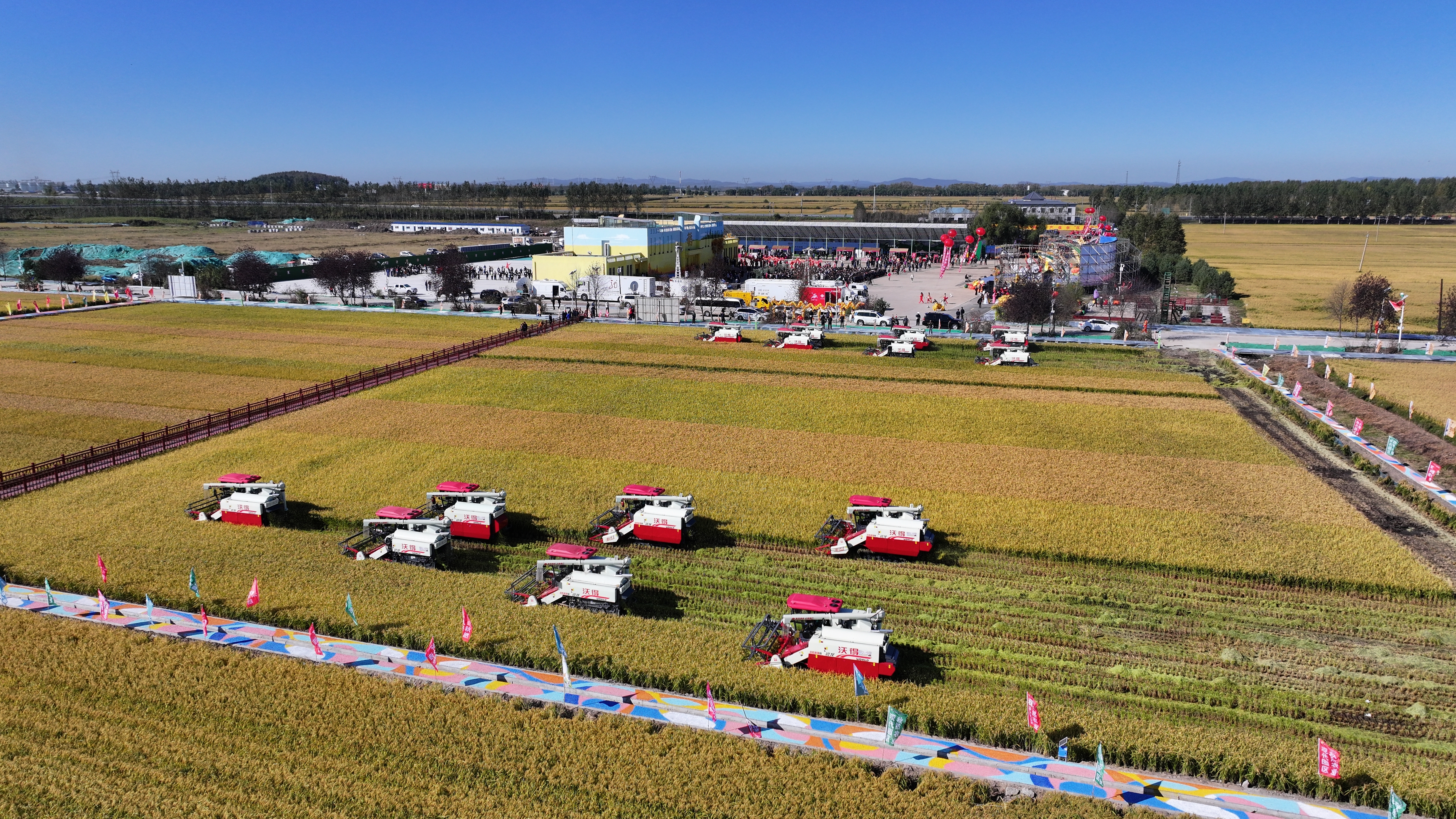 高标准农田建设现场