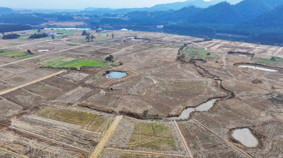 吉安这场田埂上的改革，让村集体腰包鼓起来（图）