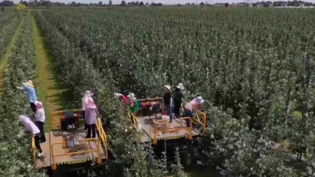 甘肃：不断夯实农业基础　扎实推进乡村振兴