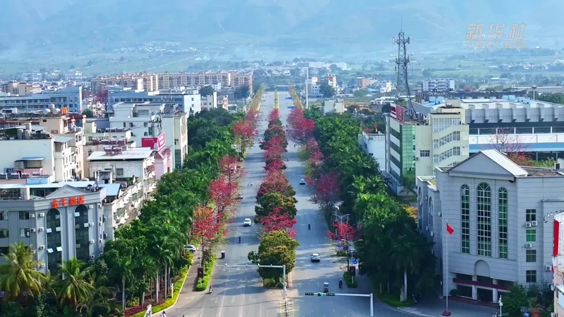 云南元江：攀枝花开暖春日